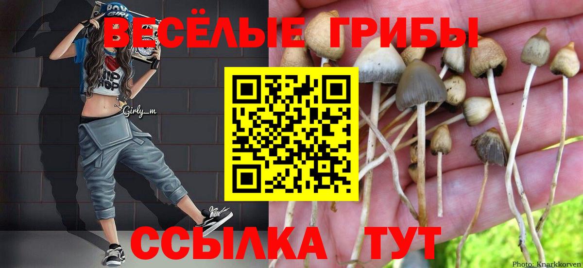 Псилоцибиновые грибы мухоморы Подольск